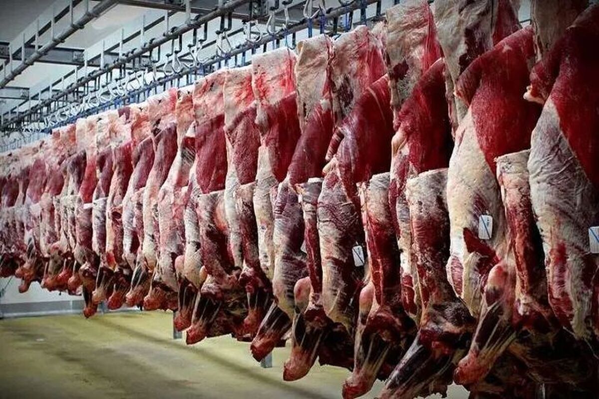 قیمت گوشت قرمز در بازار؛ راسته گوسفندی کیلویی ۷۷۵ هزار تومان
