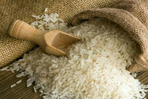نیمی از برنج مصرفی ایران وارداتی شد؛ ۱.۴ تا ۱.۶ میلیون تن در راه است