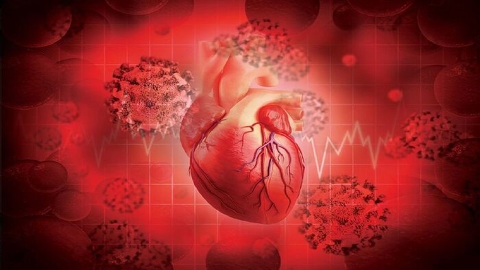 قلب شکسته ریسک مرگ زودهنگام را تا ۸۸ درصد افزایش می‌دهد