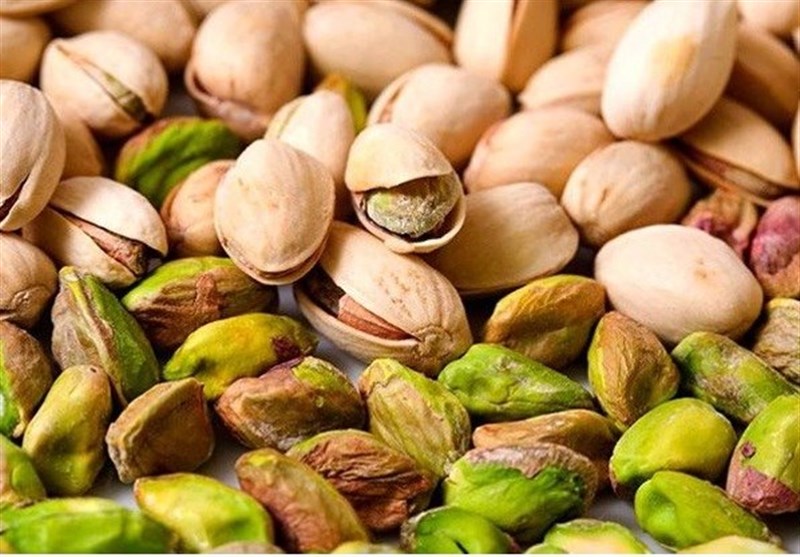 سطح زیرکشت پسته در آذربایجان شرقی به ۳۱۲۰ هکتار رسید