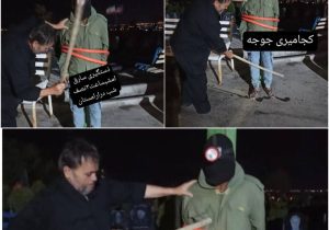 دستور دادستان تبریز برای بررسی اقدام  عضو شورای شهر