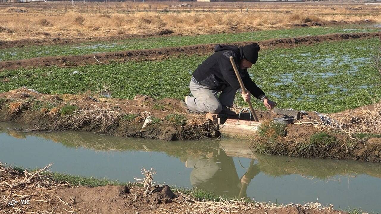 بهره‌وری آبیاری مراغه ۴۰ درصد افزایش یافت