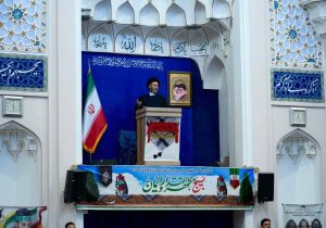 آیت‌الله عاملی: سازمان‌های بین‌المللی فقط ابزار فشار استکبارند