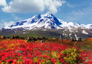 پرونده «منظر طبیعی-فرهنگی سلطان ساوالان» آماده ارسال شد
