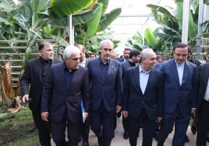 ۲۳ هزار میلیارد سرمایه برای تولید استوایی و صادرات