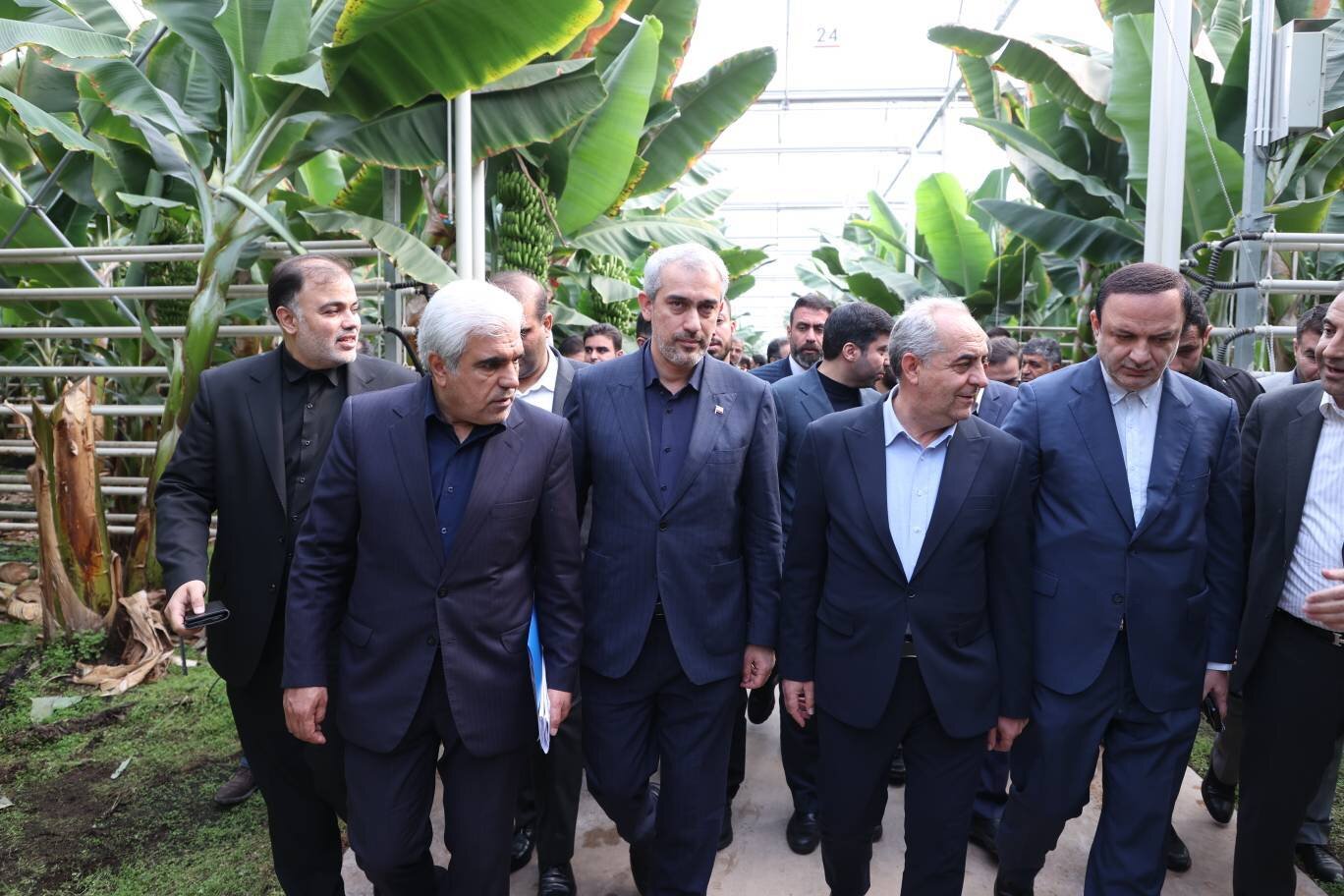۲۳ هزار میلیارد سرمایه برای تولید استوایی و صادرات
