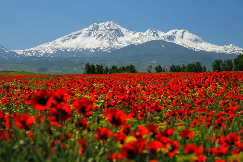 پرونده ثبت جهانی کوه سبلان در مراحل نهایی است