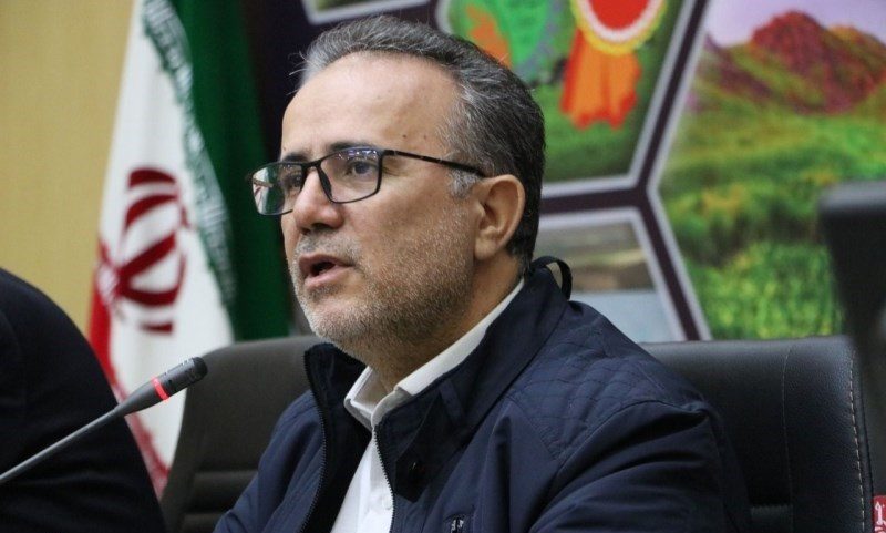 دو هفته کمبود آب، یک‌سال گندم زنجان را زمین می‌زند
