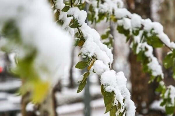 تداوم بارش برف در آذربایجان غربی؛ هشدار نارنجی هواشناسی تا جمعه