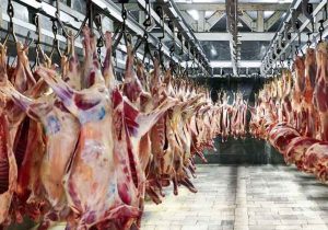 بیش از ۱۰۵ تن لاشه غیربهداشتی گوشت در زنجان ضبط شد