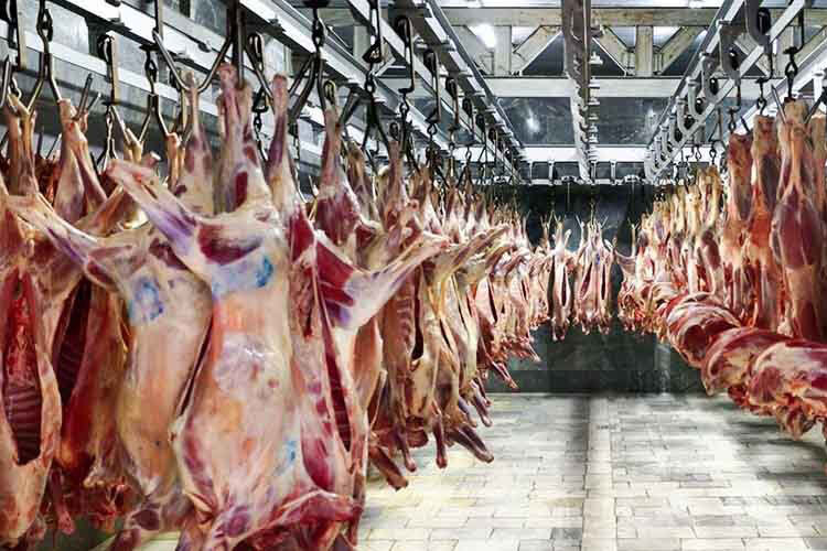 بیش از ۱۰۵ تن لاشه غیربهداشتی گوشت در زنجان ضبط شد