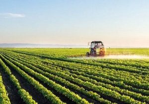 نوسان دما چالشی برای کشاورزان آذربایجان شرقی؛ چرخه طبیعی مختل شد
