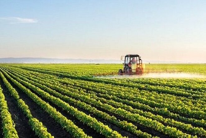 نوسان دما چالشی برای کشاورزان آذربایجان شرقی؛ چرخه طبیعی مختل شد