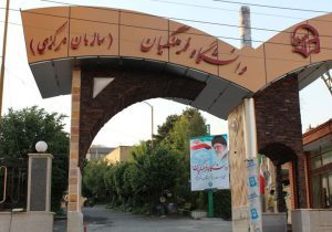 بحران استاد در دانشگاه فرهنگیان؛ لزوم بازنگری در شایستگی‌های معلم