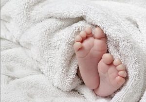 کاهش تولد از ۱.۱ میلیون به زیر ۹۸۰ هزار در چهار سال