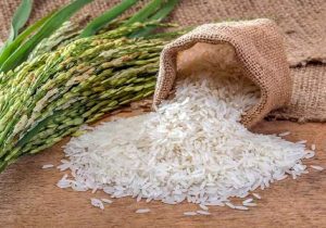 حذف برنج راه‌حل نیست؛ مصرف اصولی را جدی بگیریم