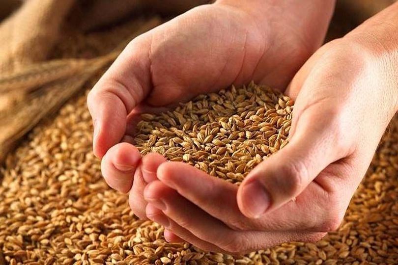 زکات؛ تجلی همدلی در جامعه؛ جمع آوری ۱۷۰ میلیارد تومان زکات در استان