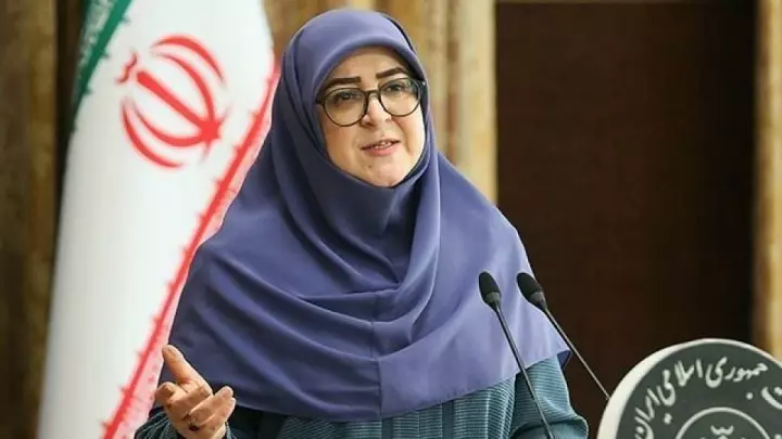 «پزشکیان شجاع است؛ برای دور دوم نیامده»