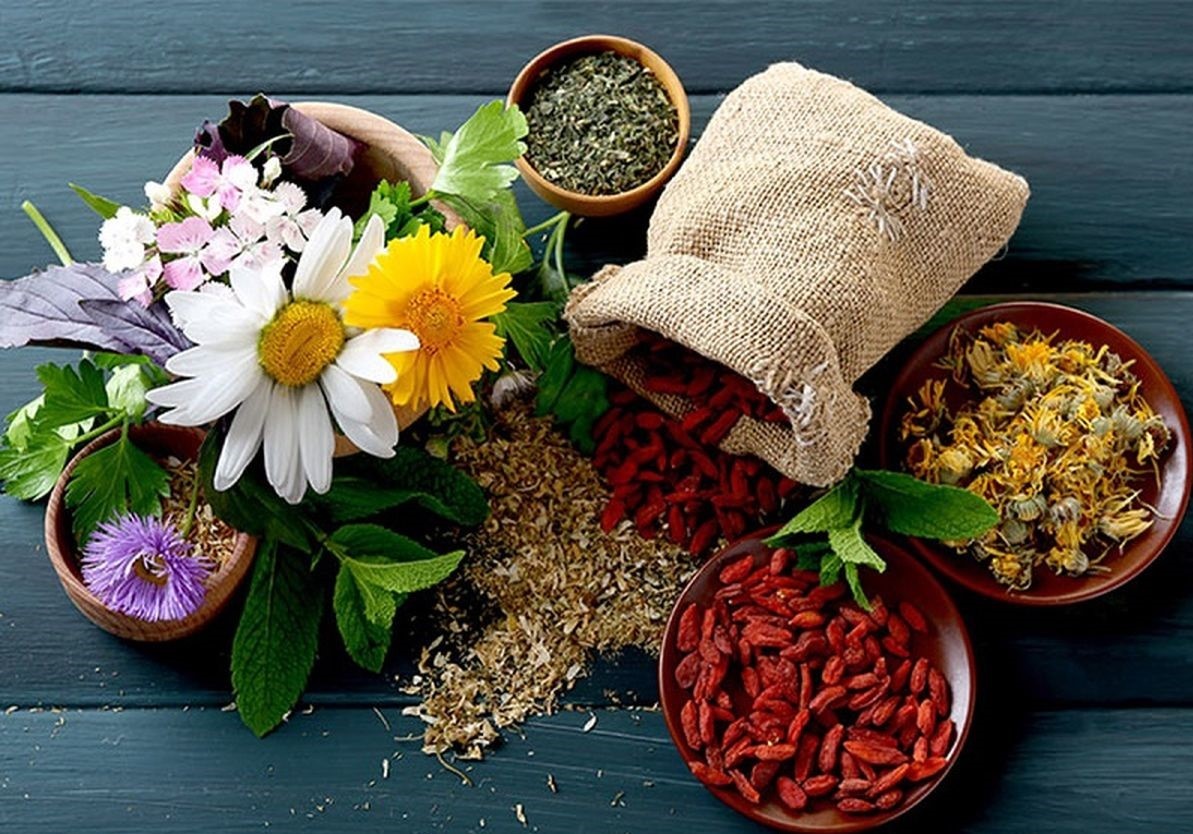 ۴ درصد گیاهان دارویی ایران در همدان تولید می‌شود