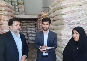 رصد میدانی و سیستمی انبار کالاهای اساسی در همدان انجام شد
