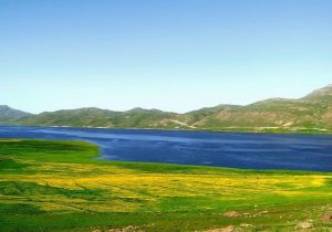 جریمه ماهیگیری در تالاب نئور اردبیل ۵۰۰ میلیون ریال اعلام شد
