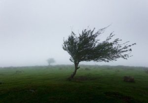 وزش تندباد در آذربایجان‌شرقی؛ باران بهاری مهمان روز طبیعت