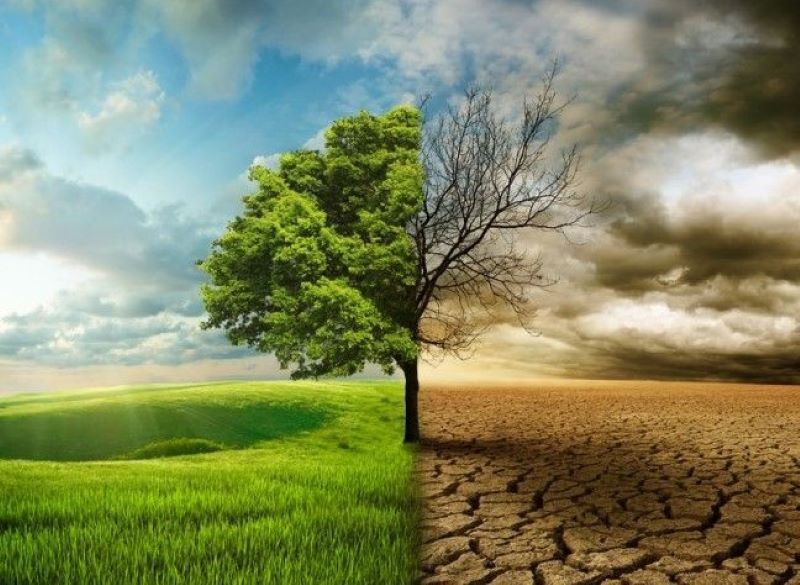 «ایران» در تب گرمایش؛ آماری از تغییرات اقلیمی و پژواک حوادث طبیعی