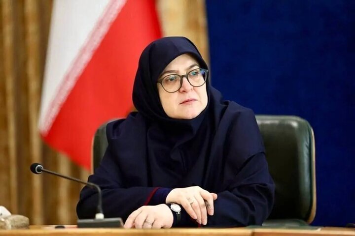 مهاجرانی: ایران خسارت‌های ناشی از حمله به نیروگاه بوشهر را با آژانس بین‌المللی انرژی اتمی مطرح کرد