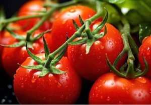 عرضه گوجه‌فرنگی با قیمت ۷۰ هزار تومان؛ بازار در مسیر تعادل است