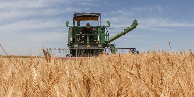 از مزرعه تا سیلو؛ کنترل خرید تضمینی برای بستن مسیر قاچاق گندم