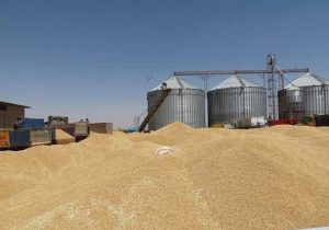 پیش‌بینی ۷۱ مرکز خرید تضمینی گندم در استان آذربایجان شرقی