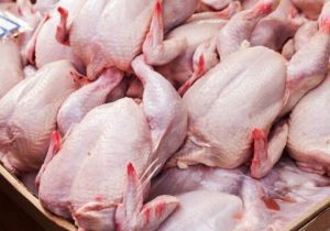 قیمت جدید مرغ در بازار اعلام شد