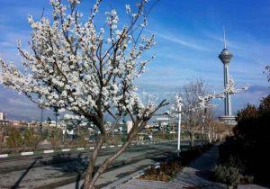 افزایش دمای فصل بهار در کشور نسبت به شرایط نرمال