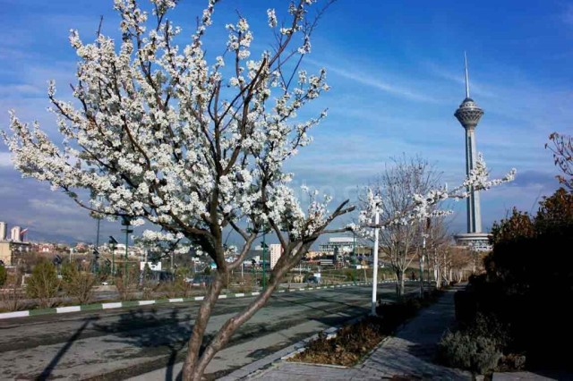 افزایش دمای فصل بهار در کشور نسبت به شرایط نرمال
