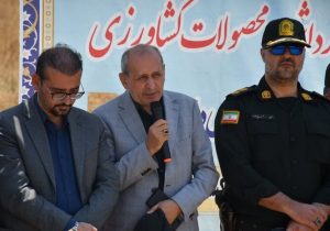 برداشت ۶۵۰ هزار تن گندم در آذربایجان شرقی هدف‌ گذاری شد