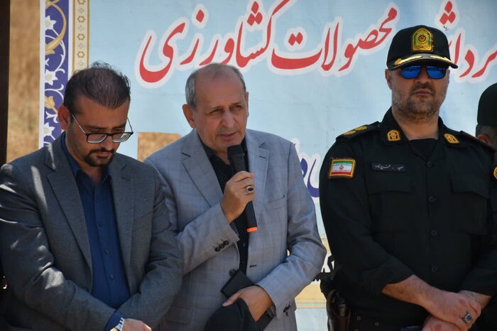 برداشت ۶۵۰ هزار تن گندم در آذربایجان شرقی هدف‌ گذاری شد