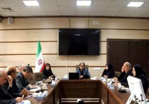 هم‌افزایی بین‌بخشی، شرط حمایت مؤثر از درمان ناباروری