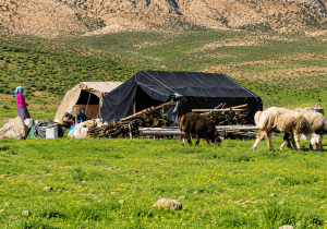۱۰۰ میلیارد تومان برای توسعه زیرساخت‌های عشایری بیله‌سوار هزینه شد