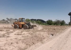 ۷۵ هکتار از اراضی کشاورزی تبریز دوباره به چرخه تولید پیوست