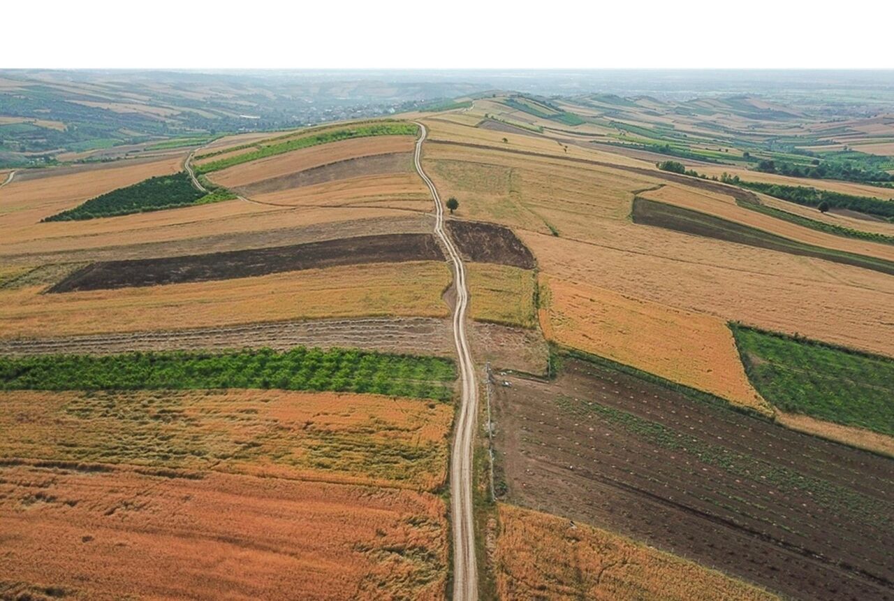 مشارکت ۲۰۰ هزار کشاورز آذربایجان‌غربی در طرح جهش تولید دیم‌زارها
