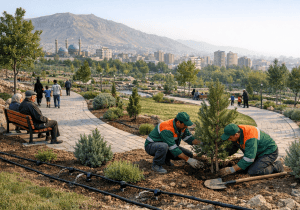 آغاز عملیات گسترش باغ‌های شهری با هدف تلطیف هوا و ارتقای سطح سلامت عمومی شهروندان