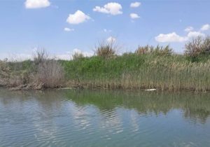 تالاب قوپی باباعلی جان دوباره گرفت؛ گام نوین محیط‌زیست برای مقابله با ریزگردها
