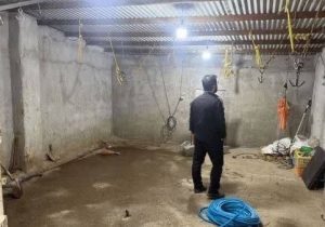 کشف دو کشتارگاه مخفی غیرمجاز دام در حومه تبریز!