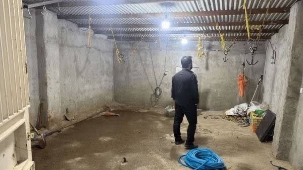 کشف دو کشتارگاه مخفی غیرمجاز دام در حومه تبریز!