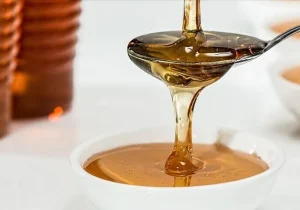صادرات بیش از ۳ هزار تن عسل ترکیه به ۳۷ کشور جهان