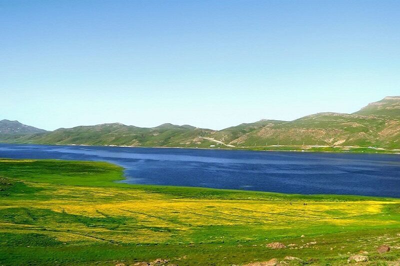چراغ سبز محیط زیست اردبیل به صید ماهی از تالاب نئور