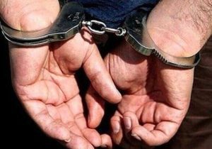 قتل هولناک دختر جوان در تهران؛ متهم: به‌خاطر اصرار زیاد دوست دخترم برای ازدواج او را کشتم