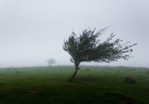 هواشناسی همدان نسبت به رگبار باران و وزش باد شدید هشدار داد