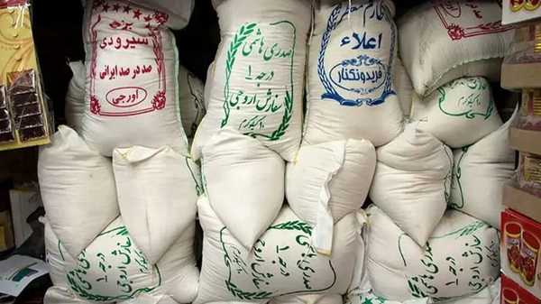 از ۱۸۰ هزار تومان سال گذشته تا ۳۸۰ هزار تومان امسال؛ کالبدشکافی دو برابری قیمت برنج