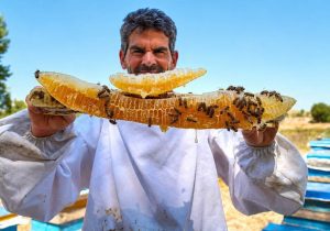 تولید سالانه ۱۳ هزار تن عسل در اردبیل؛ برداشت امسال ۳ هزار تن افزایش می‌یابد